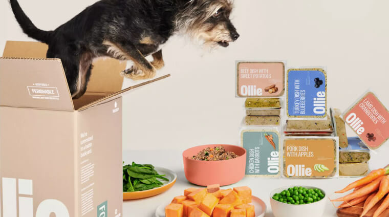 Ollie Fresh Dog Food